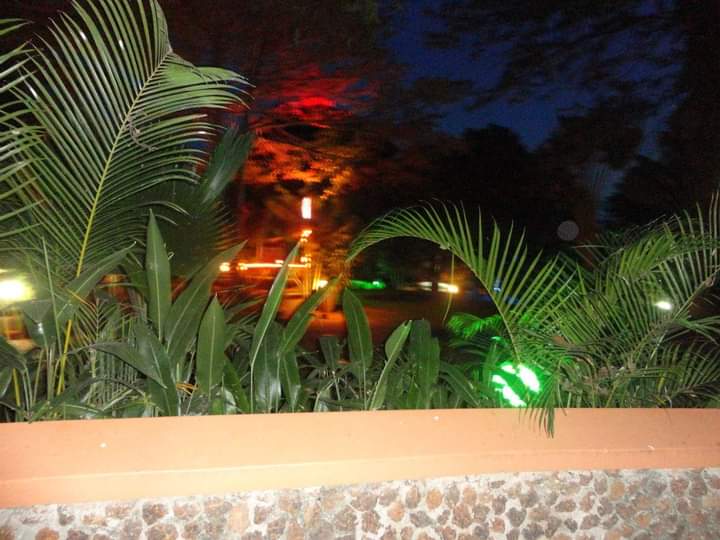 WhatsApp Image 2022-11-07 at 4.39.43 PM 1.jpeg